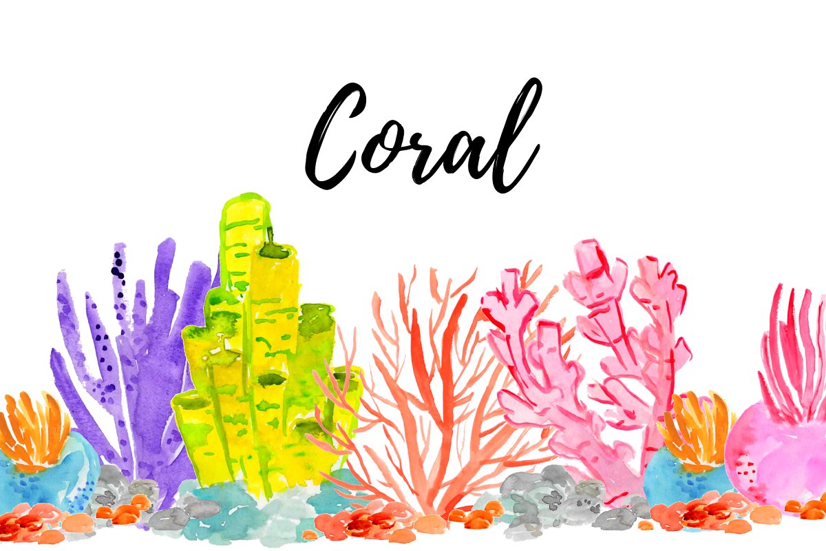Watercolor summer coral.