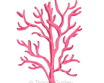 Pink coral clip.