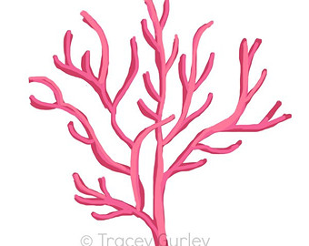 29 coral clipart.