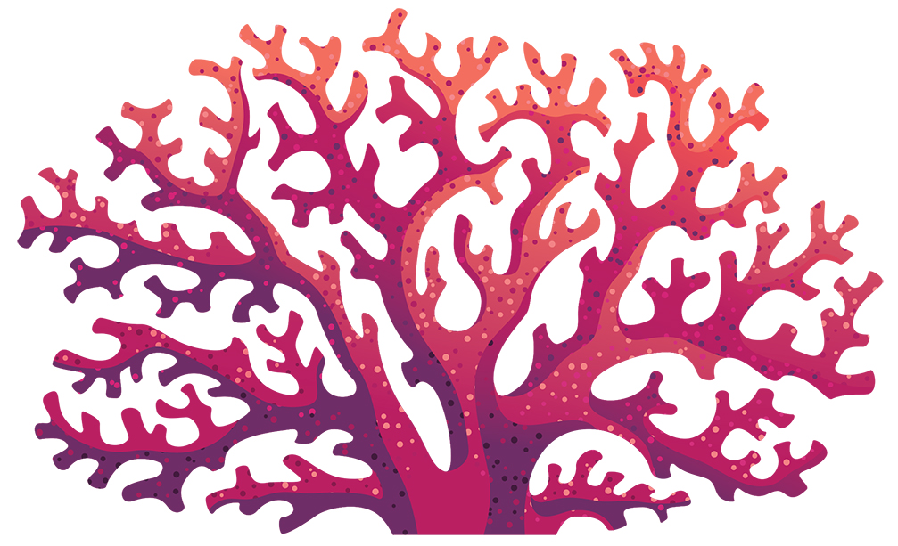 Free coral clipart.