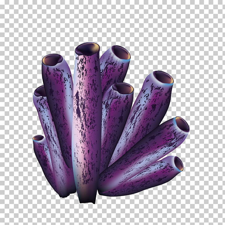 Purple Icon, Purple coral, purple tube plant PNG clipart
