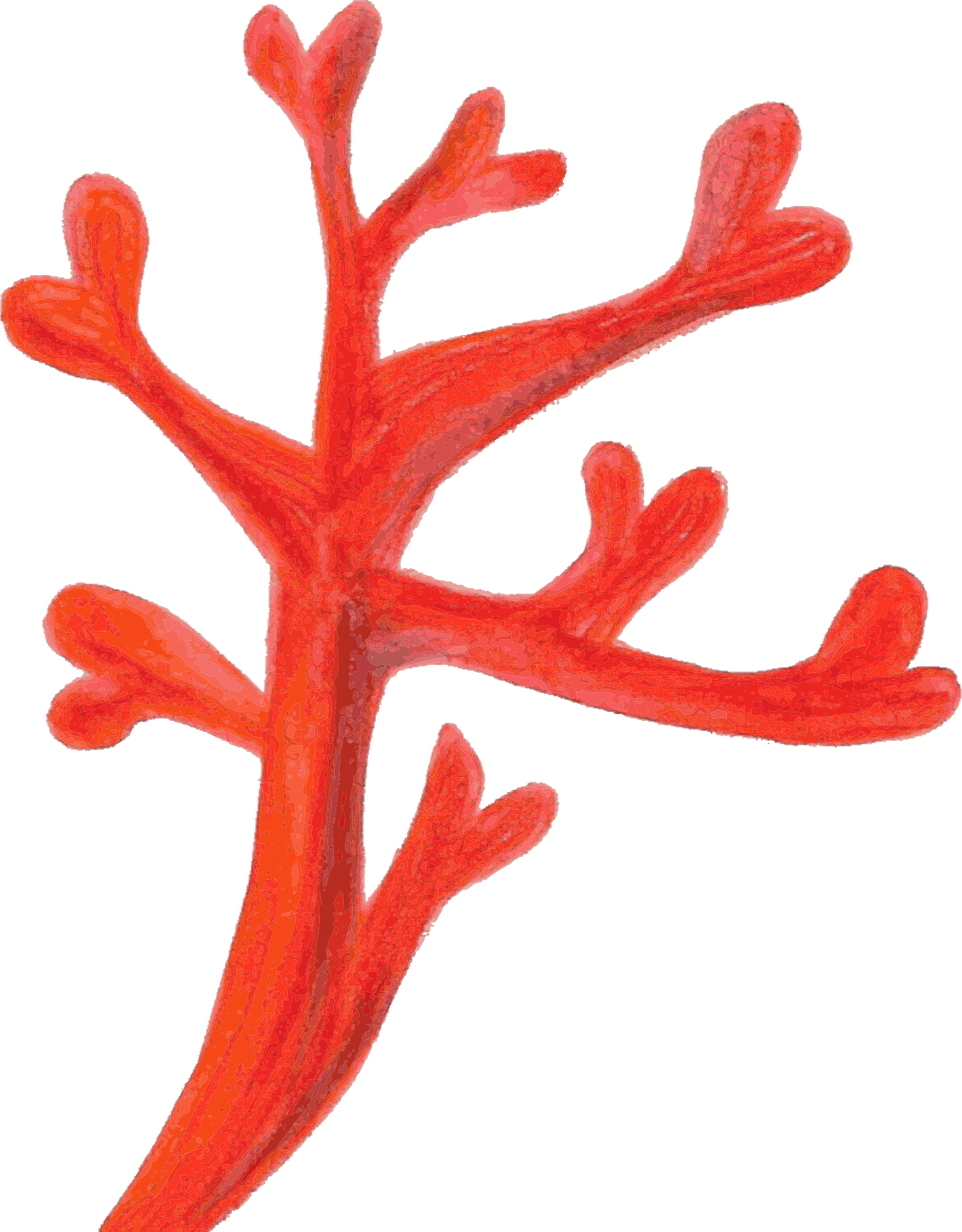 Coral clipart realistic, Coral realistic Transparent FREE