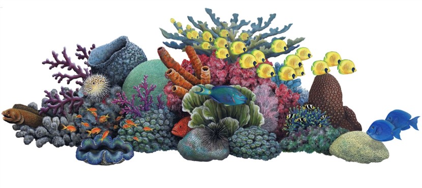 Free Reef Cliparts, Download Free Clip Art, Free Clip Art on