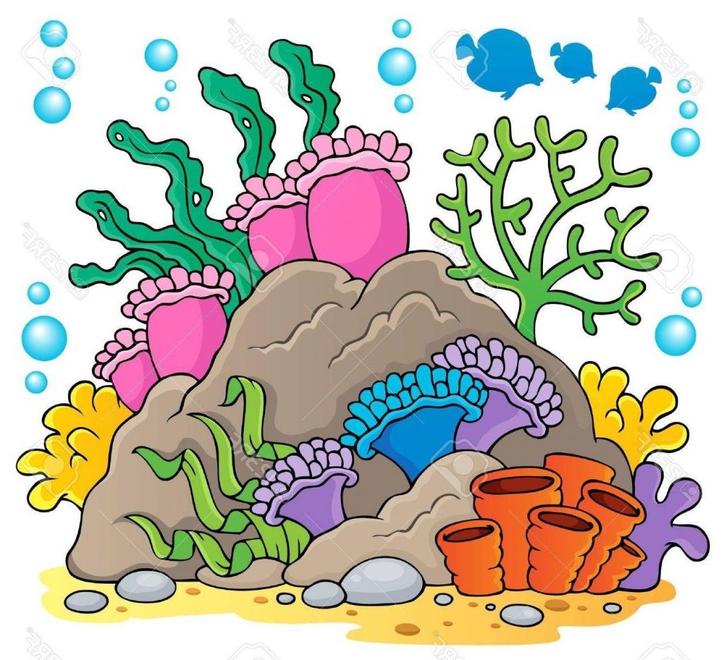 Coral reef clipart Fresh Top
