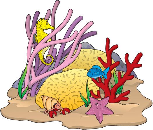 coral clipart reef