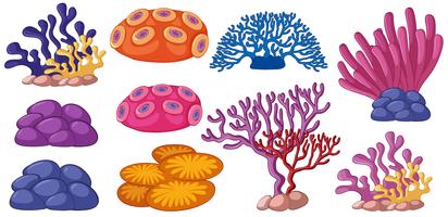 Coral reef vector clipart images gallery for free download