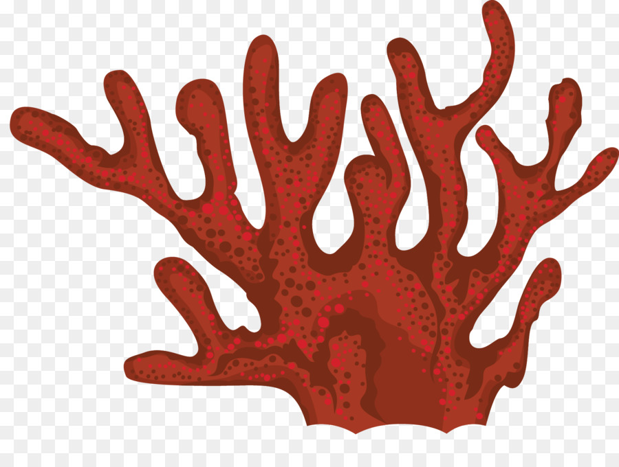 coral clipart seaweed