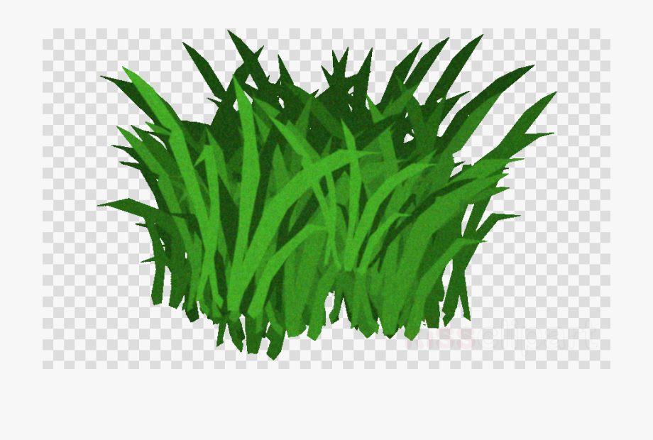 Transparent seaweed clipart.