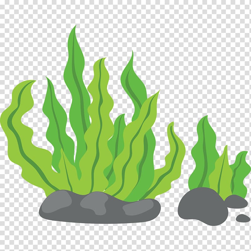 Coral clipart seaweed pictures on Cliparts Pub 2020! 🔝