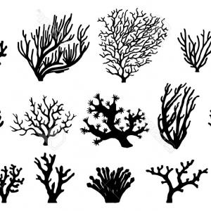 Photostock Vector Coral Silhouettes On The White Background
