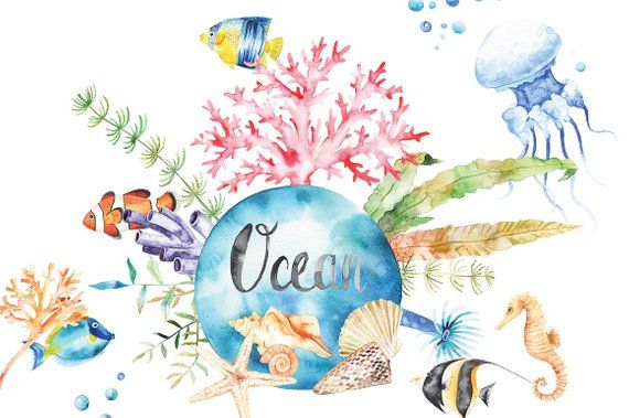 Watercolor Ocean Set, clipart, anemones, coral, tropical