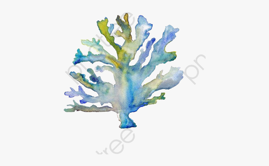 Coral Reef Clipart Watercolor