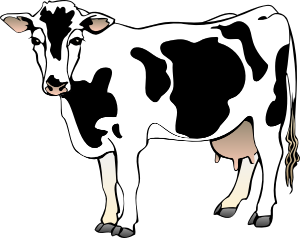 Cow clipart cow.