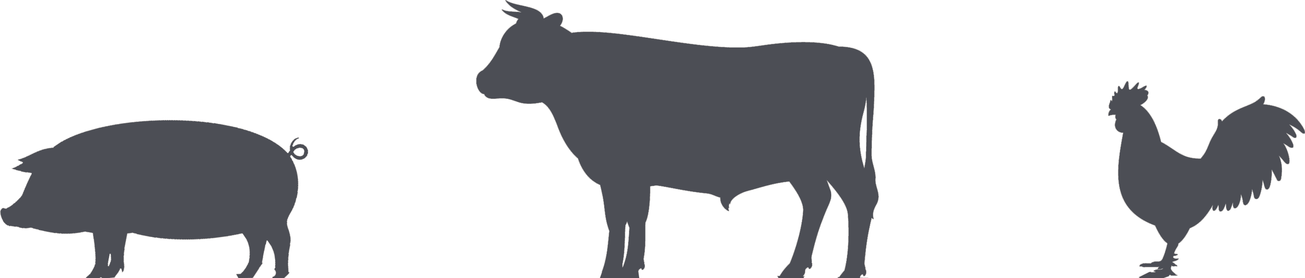 Cows clipart bbq, Cows bbq Transparent FREE for download on