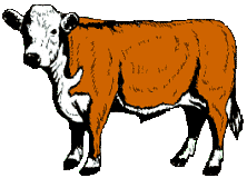 26 cattle clipart.