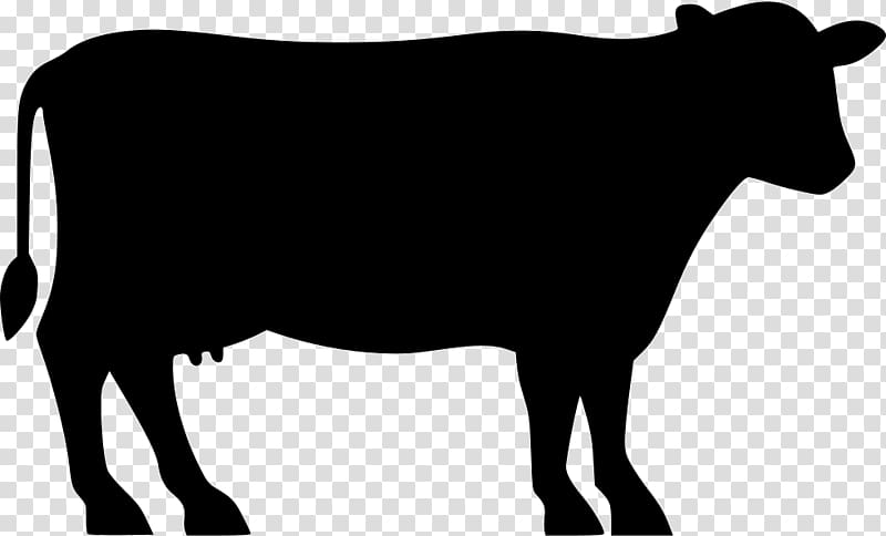 Silhouette cow illustration, Angus cattle Beef cattle