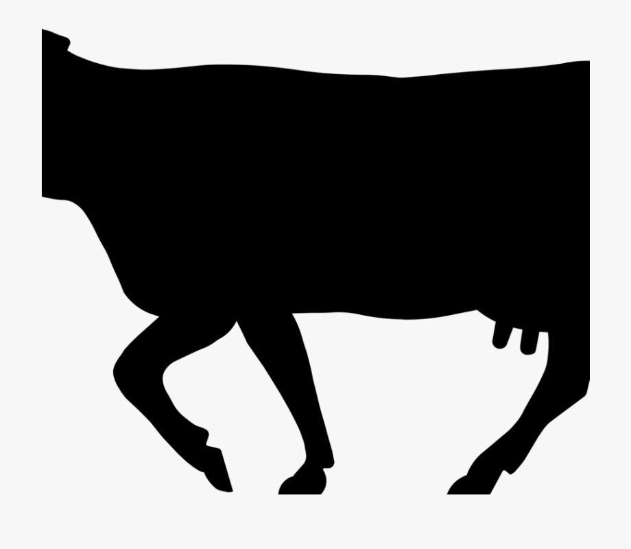 Cattle Clipart Angus Cow