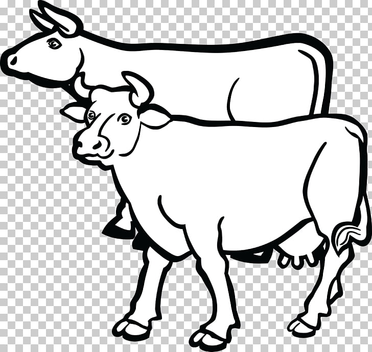 Holstein Friesian cattle Beef cattle British White cattle