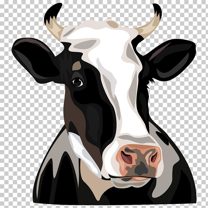 Holstein Friesian cattle , Cow Head, black, white, and brown
