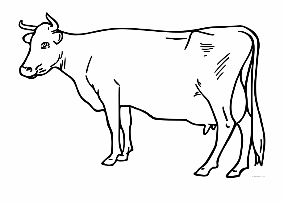 cow clipart black and white brown