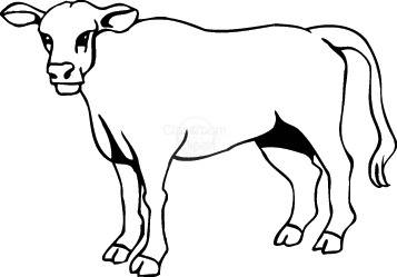 cow clipart black and white calf