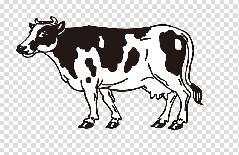 cow clipart black and white dairy