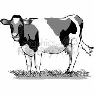 Dairy cow clipart