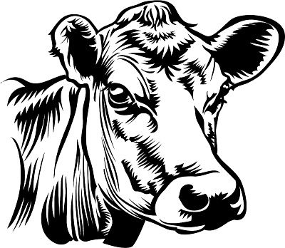 Images Of A Cow Clipart