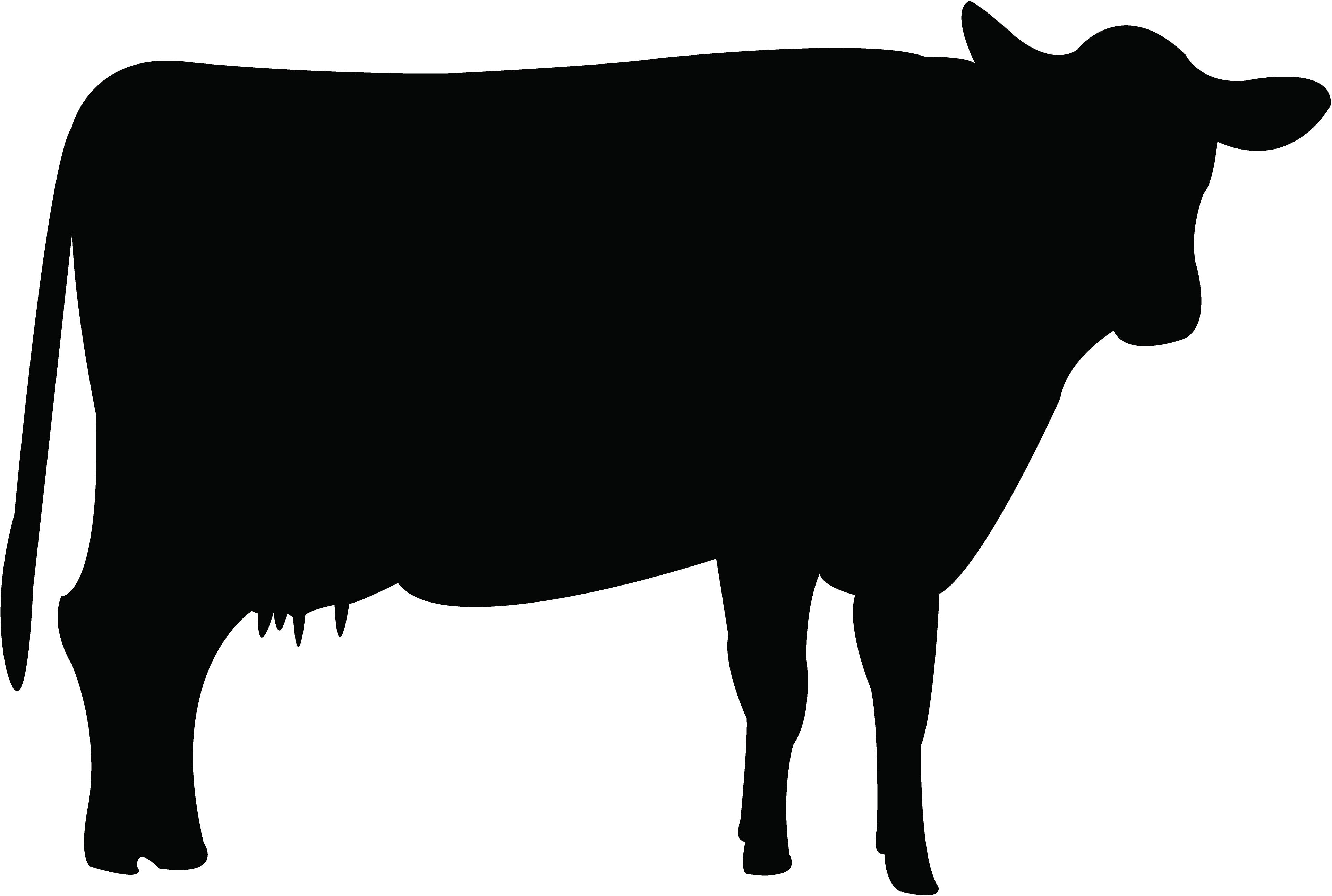 Holstein Friesian cattle Livestock Clip art
