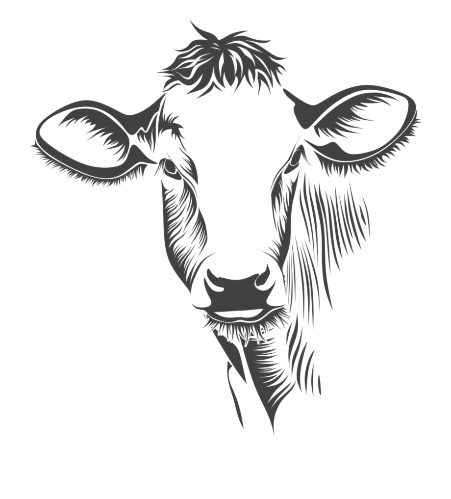 cow clipart black and white realistic