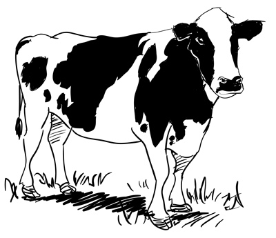 Cattle clipart realistic.