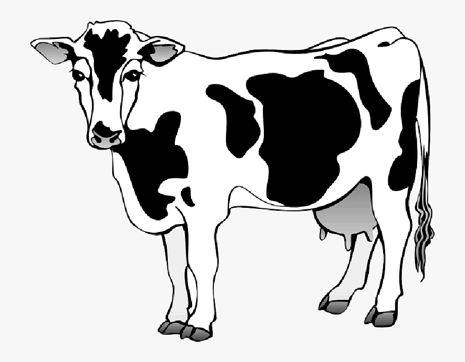 cow clipart black and white transparent background