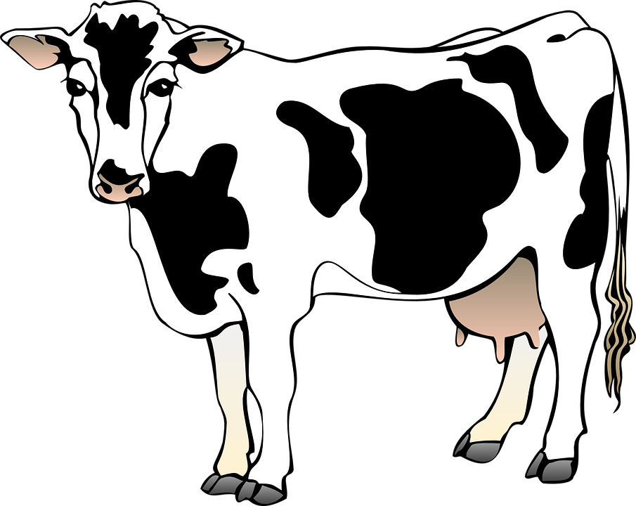 Dairy cow,Bovine,Mammal,Clip art,Cow