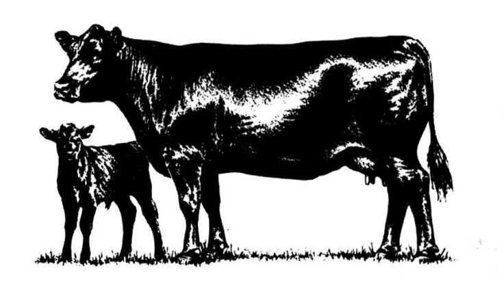 Free Cow Calf Pair Silhouette, Download Free Clip Art, Free