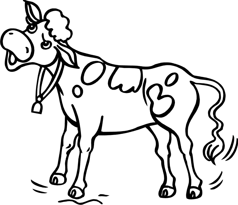 Free cow images.