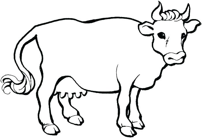 Collection of Cow clipart