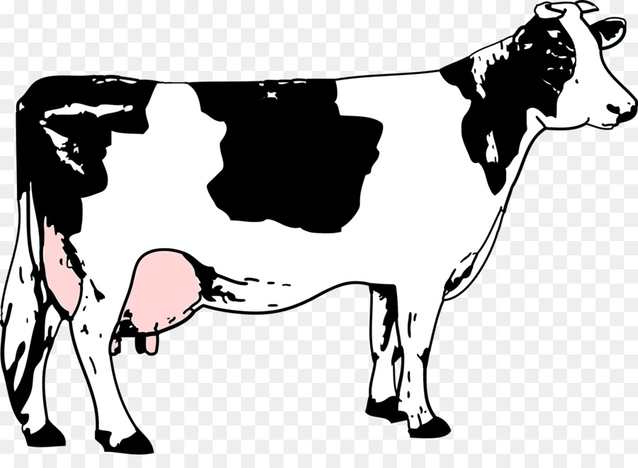 Dairy cow clipart.