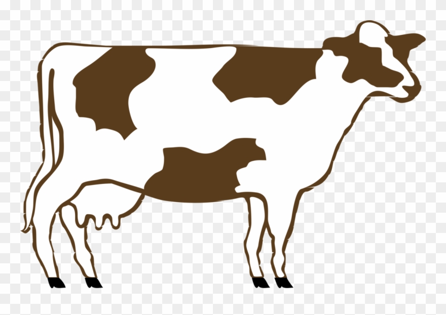 Holstein Friesian Cattle Calf Dairy Cattle Drawing