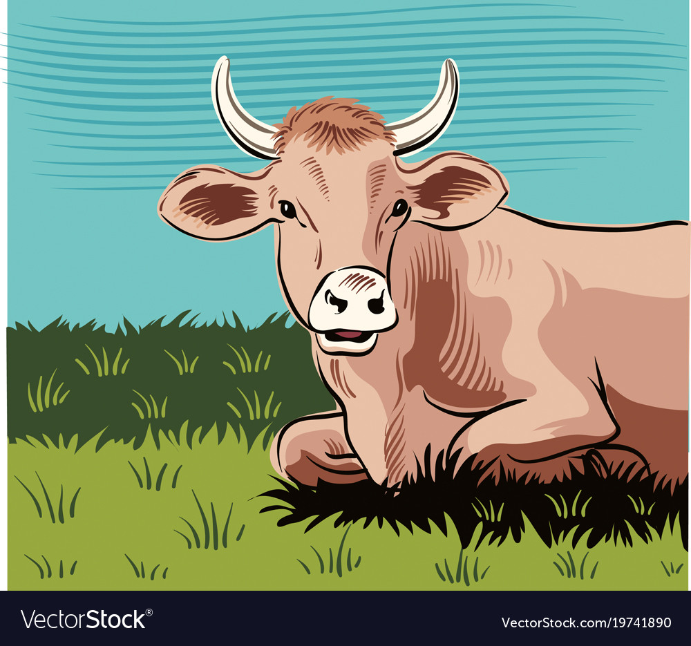 Grazing cow lying in a meadow while cud