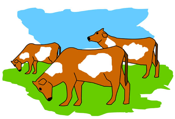 Cow grazing clipart
