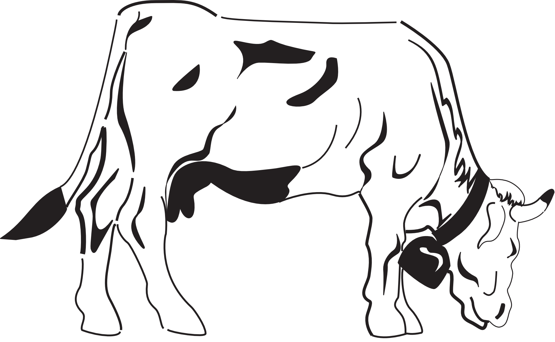 Cow on the grazing clipart free image