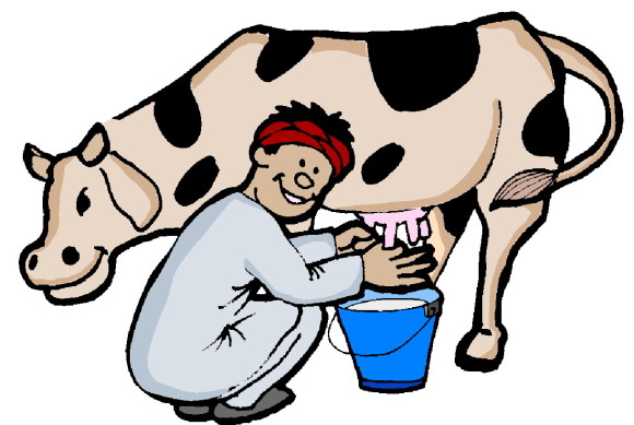 Free Dairy Cow Cliparts, Download Free Clip Art, Free Clip