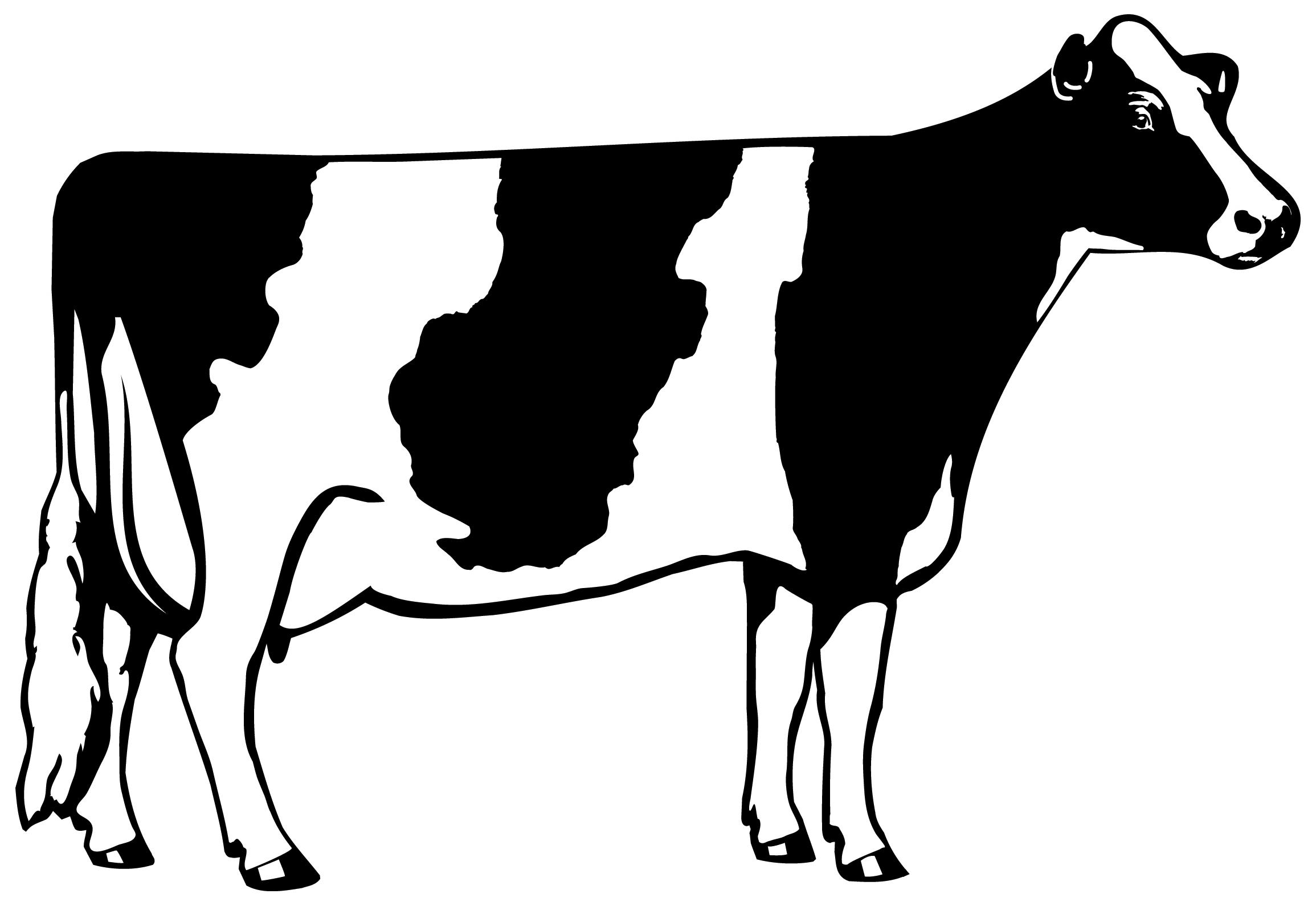 Free Dairy Cow Cliparts, Download Free Clip Art, Free Clip