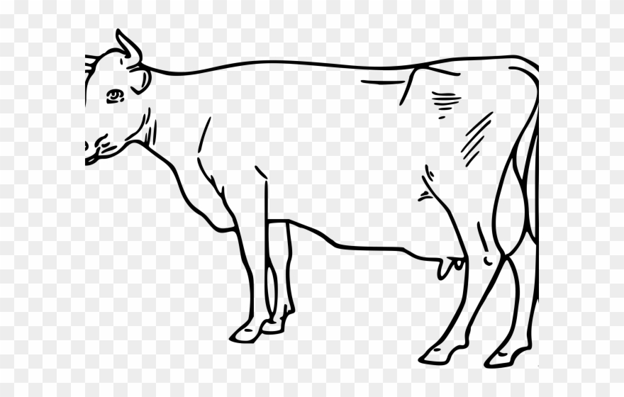 Cattle Clipart Outline