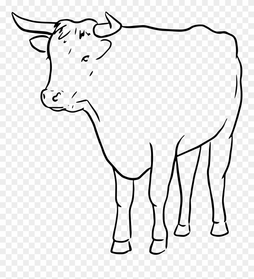 Cow Clip Art Outline