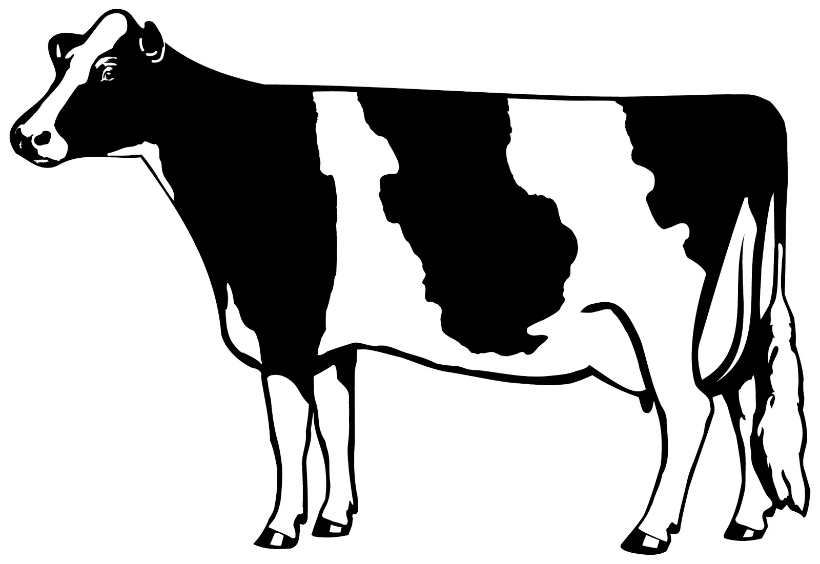 Cow clipart .