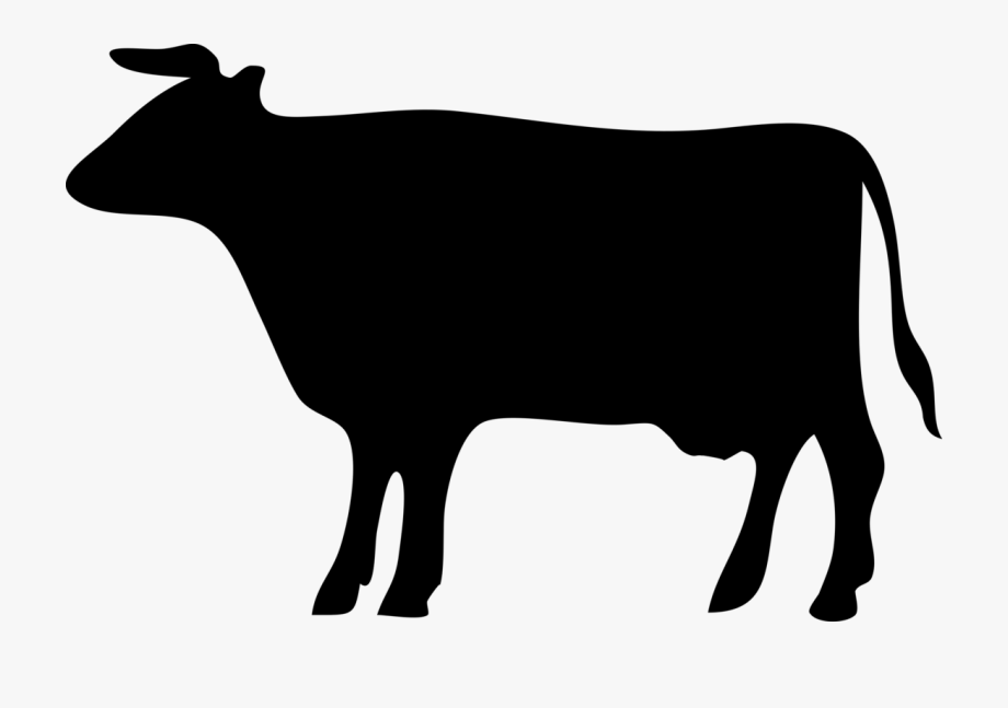 Beef Clipart Beef Cattle