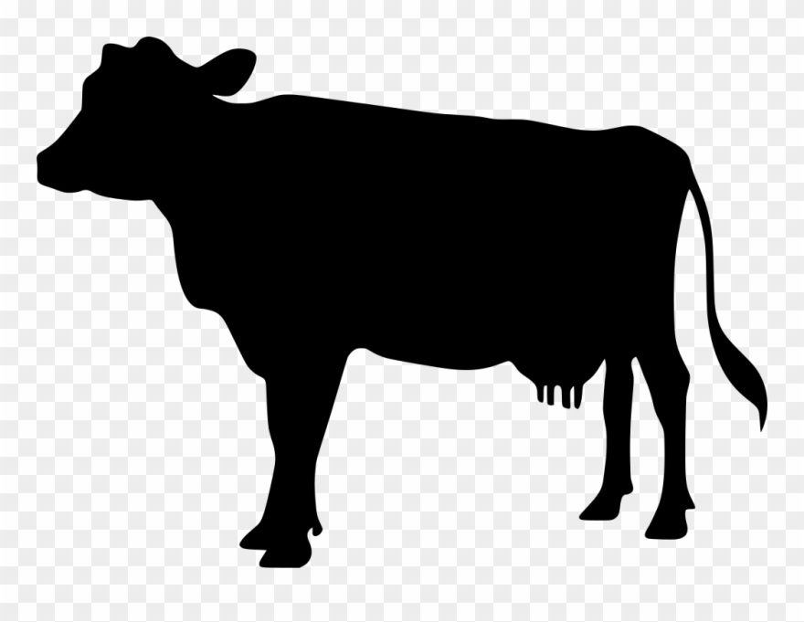 Jpg Transparent Bull Transparent Cow