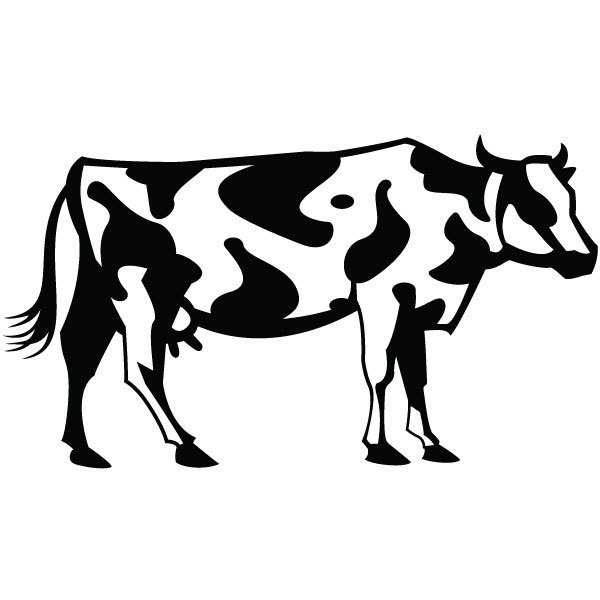 cow clipart vector