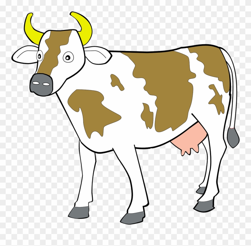 Free vector cow.